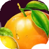Fruits4Real Casino logo